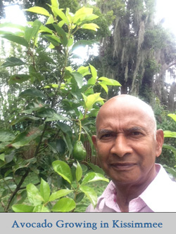 Avocado & Friend Selfie